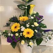 Bright and cheerful