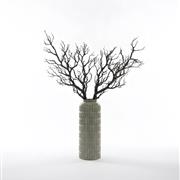 Modern Branch Statement Arrangement 