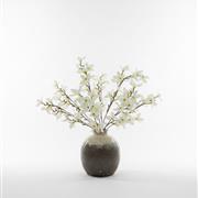 White Blossom 